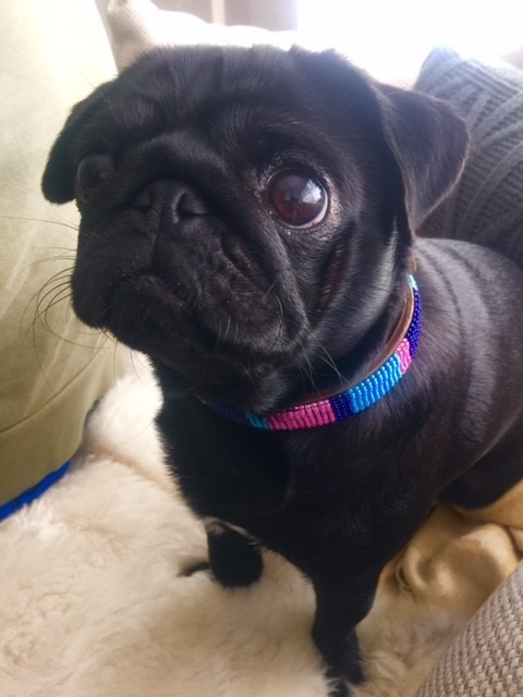 Lola Looking Divine!